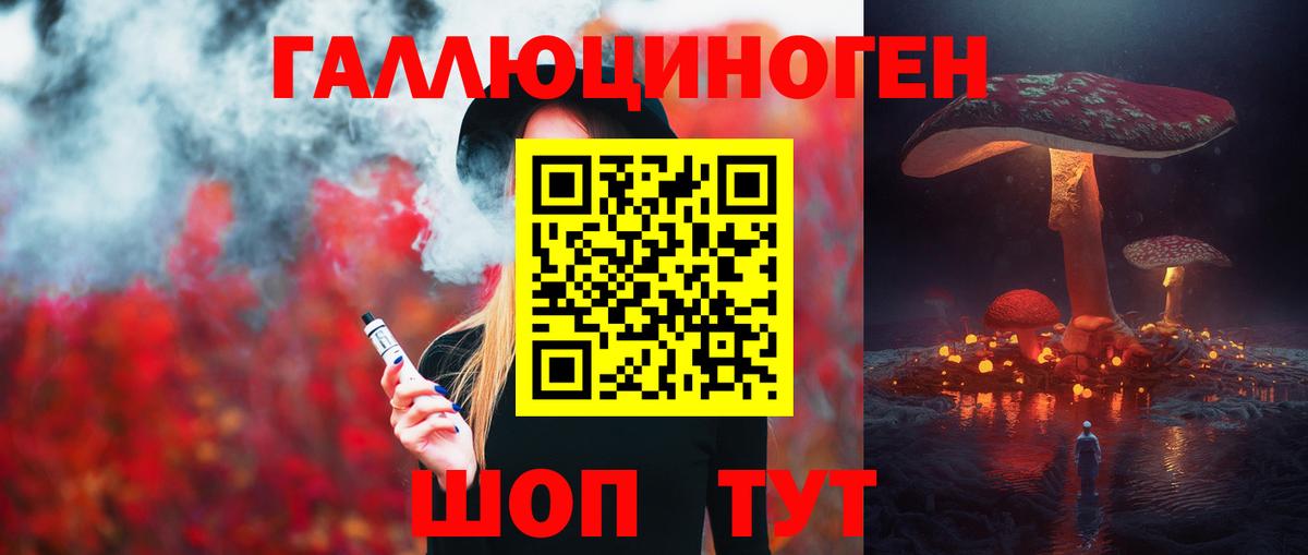 Псилоцибиновые грибы Psilocybe  Вход с VPN  Новочеркасск 