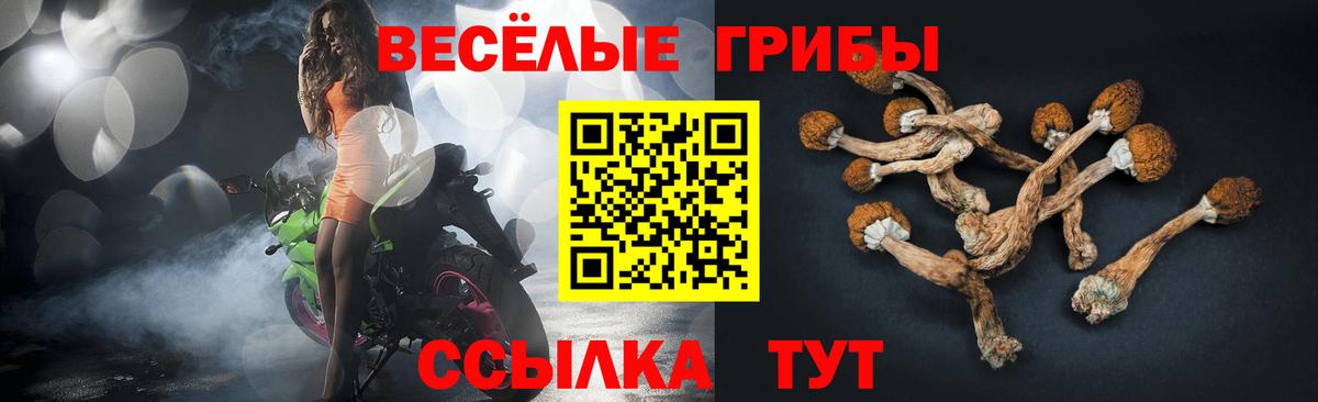 Псилоцибиновые грибы ЛСД Новочеркасск